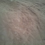 20130310_134253